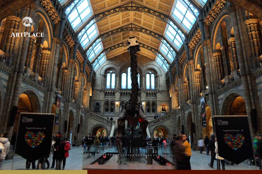 Top 10 museos virtuales del mundo: Museo de Historia Natural de Londres